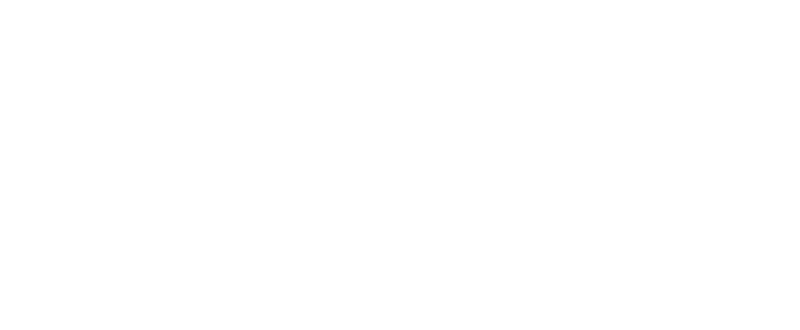 BARWIS